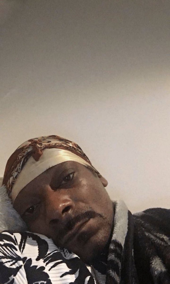 VanillaDogs 🦴 tweet media