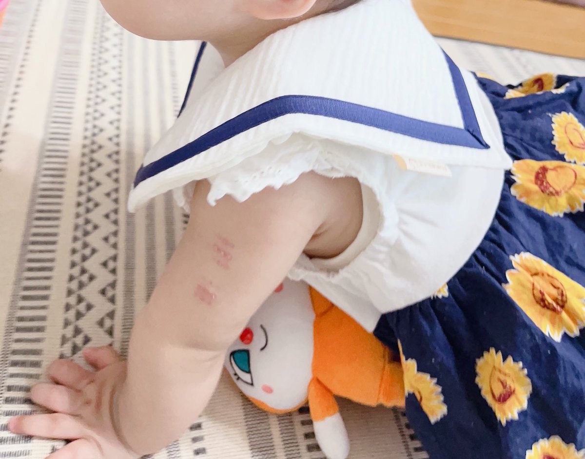 AmaLce_hanana's tweet photo. 【プレゼント企画🧸①】

昨年の夏頃大人気だったこちらのスタイ(*´˘`*)♡
今年もまた暖かくなってきて少しずつ注目を集めております♡
くしゅくしゅとした生地が涼しげでかわいいですっ⸜(*´ᗜ`)⸝♡

リボンの有り無しは選べます𖤐 ̖́-

締切…4/30迄

↓応募条件をcheck↓ https://t.co/smr1QcGJrL