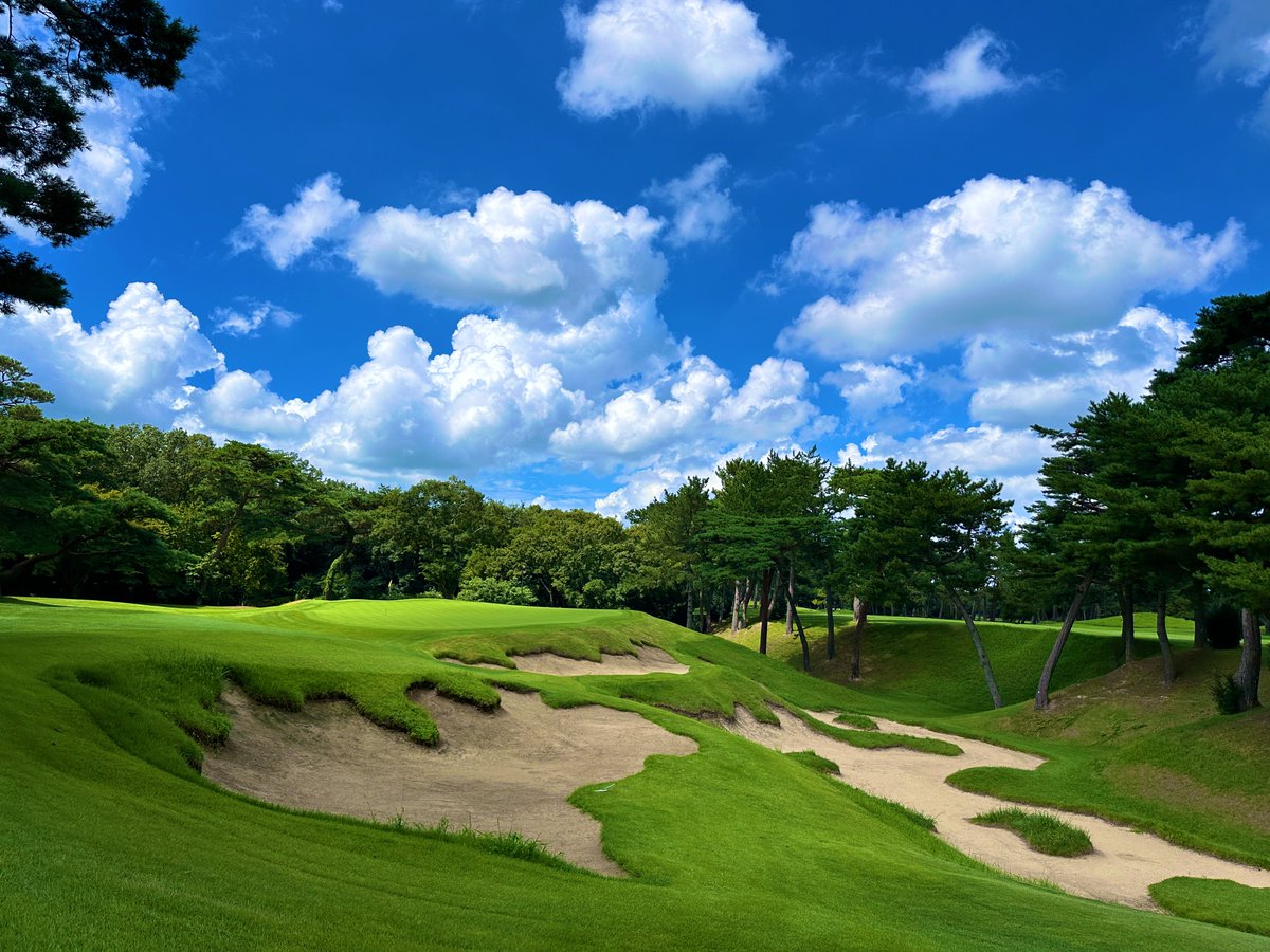 Rick Golfs tweet media