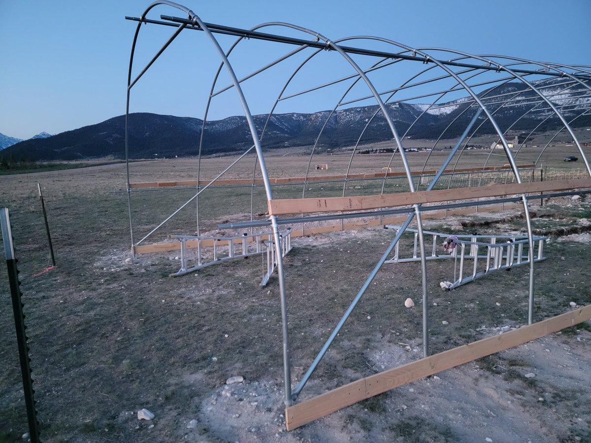 GreenDuckFarms's tweet photo. Had some fun getting the angled support poles solid. My 1 5/8 connectors are different than the 1 3/8.
Added a little metal around the base pole, and an extra bolt.
Very solid now.
#greenhouse #hoophouse #homestead https://t.co/4orrTHn1Po