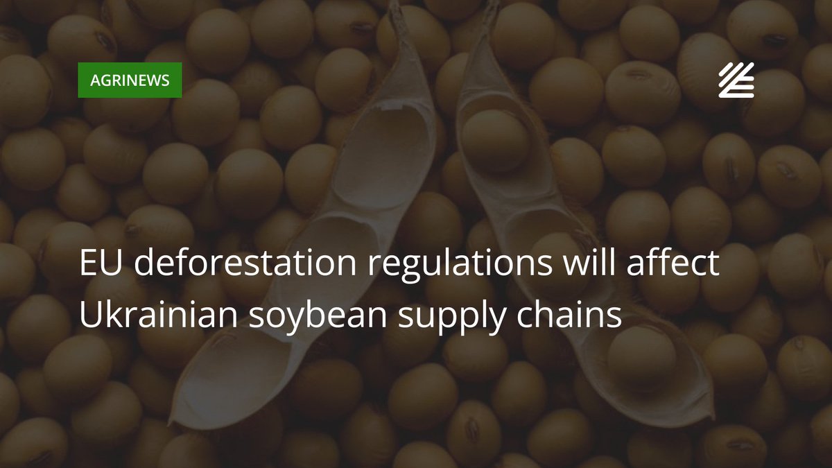 📣 #Ukrainian #soy exporters will need traceability certification for shipments to the EU starting 2025 This was announced by Volodymyr Pugachov, Executive Director of the Danube Soybean Association. Read more 👉 uac.world/hA9f9r #UkrAgroConsult #Agriculture