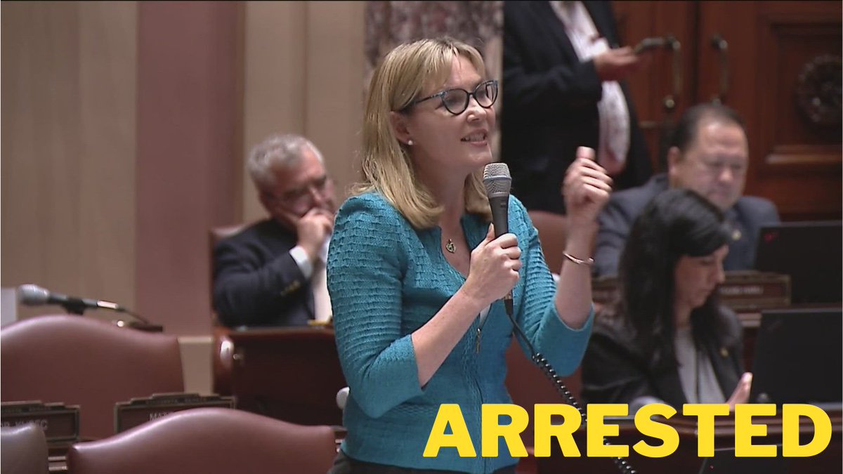 Minnesota State Senator Arrested: Nicole Mitchell Held on Suspicion of Burglary.

Read Full News: shorturl.at/efG34
#minnesotastatesenator #nicolemitchell #burglary #dailynewsupdate #NewsUpdate