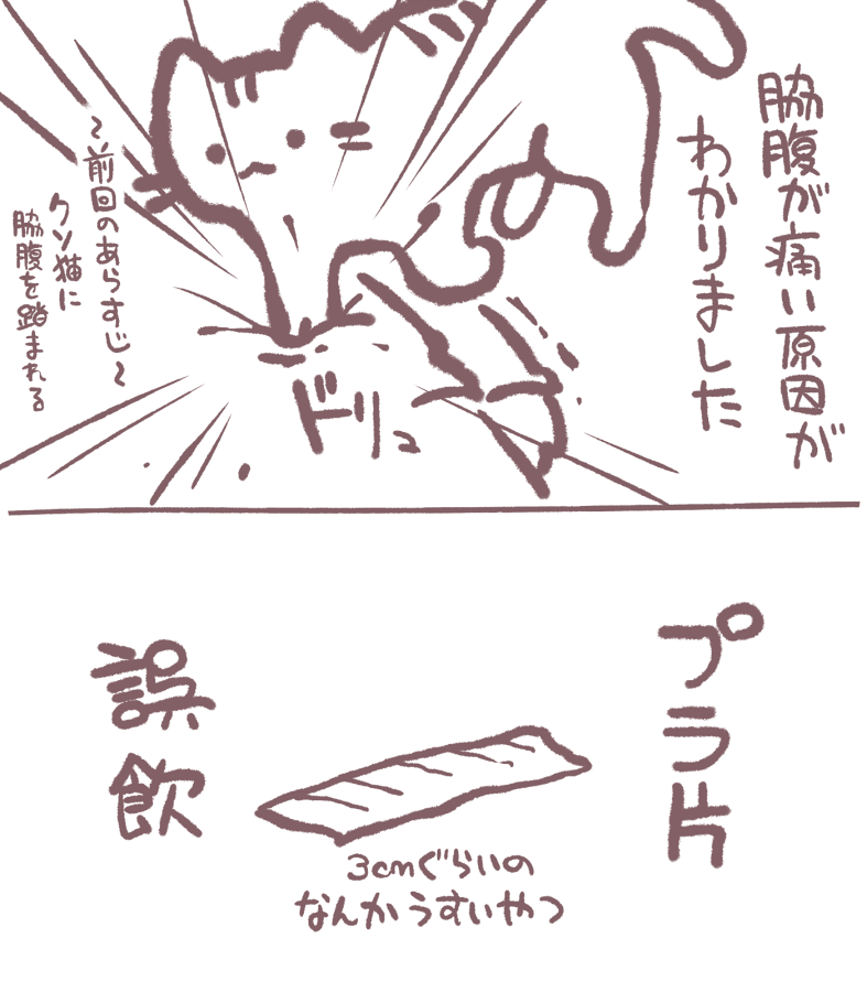 近況
https://t.co/ujiAmYR2lW 