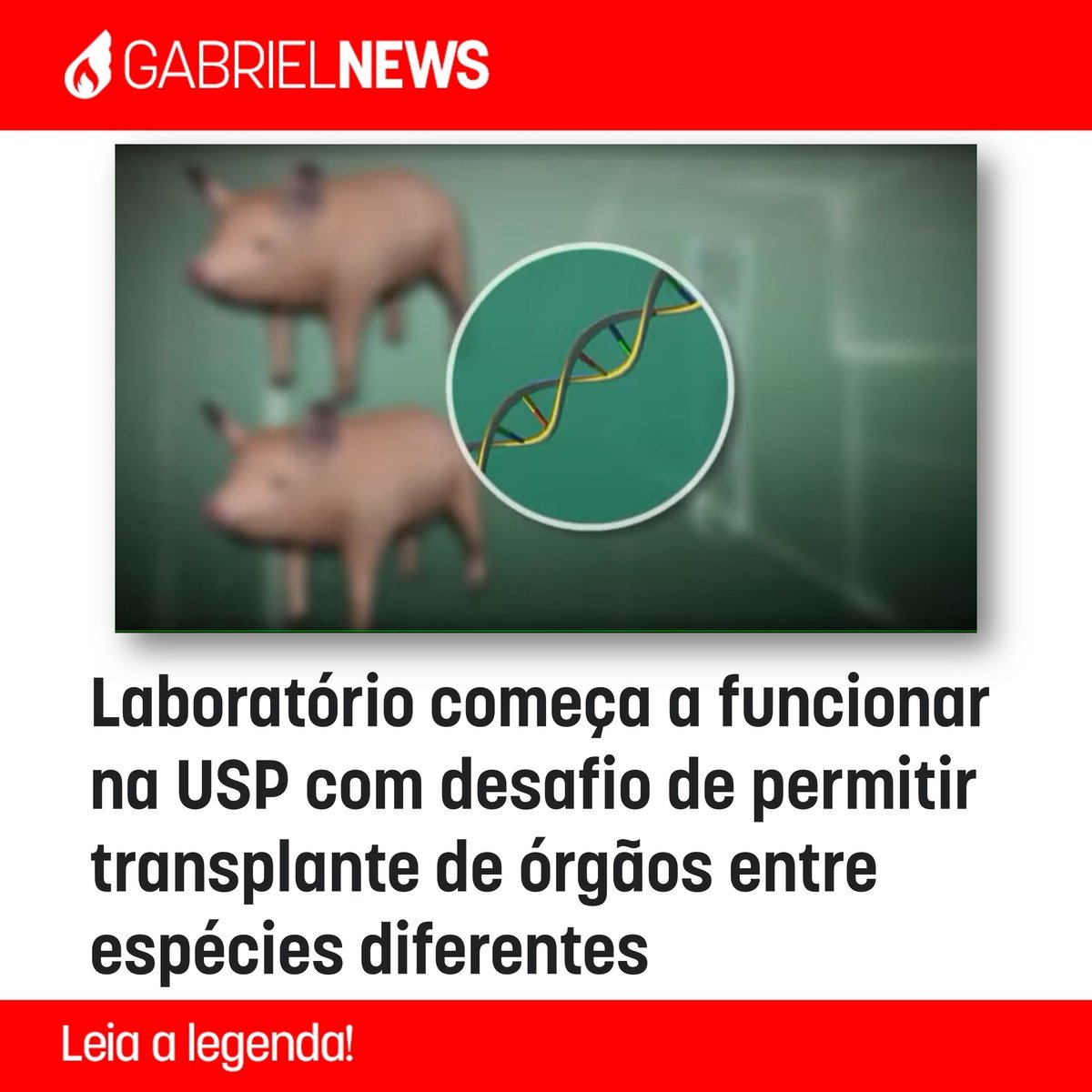 GABRIELInstitut's tweet photo. Fonte: https://t.co/ldiaaEUrkl

#institutogabriel #xenotransplante #USP #medicina #ciência #transplante #universidadedesãopaulo #indaiatuba #SãoPaulo #governodesaopaulo https://t.co/ECpQUh12bd