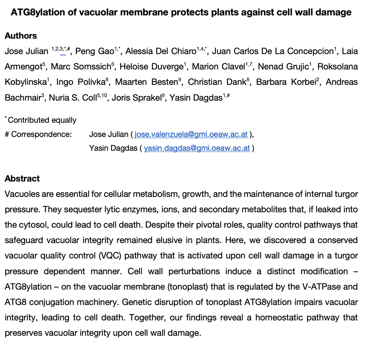 📢NEW #Preprint, Brainchild of @J_ATPase with Alessia, Peng & our amazing collaborators. Topics covered #ATG8ylation, #cell_wall_damage, #vacuolar_quality_control, #mechanostasis. biorxiv.org/content/10.110… Intrigued? See the 🧵for a summary: