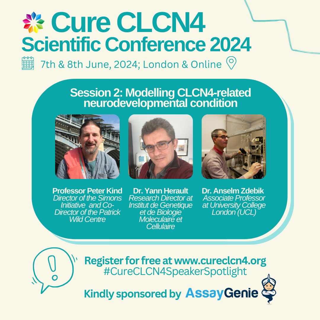 Excited to unveil our speaker lineup for the 2nd session of the #CureCLCN4Conference! 🧬 Join us as Prof.Peter Kind, Dr.Yann Herault, and Dr.Anselm Zdebik share their expertise, insights, and latest research on modeling CLCN4-NDC and other NDDs. Register👉cureclcn4.org/cure-clcn4-sci…