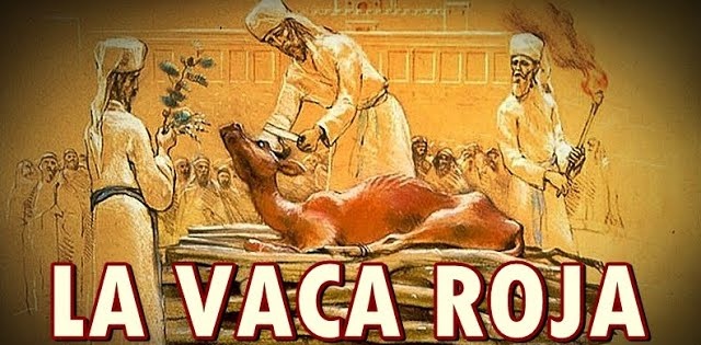 destapandolose1's tweet photo. Dentro de éste esquema ésta incluido provocar el enfrentamiento final o "guerra del Apocalipsis" contra los denominados "goyim" o la gente sub-humana "no-elegida de Dios" (es decir nosotros, según ésta profecia sionista), https://t.co/VVstFflJG5