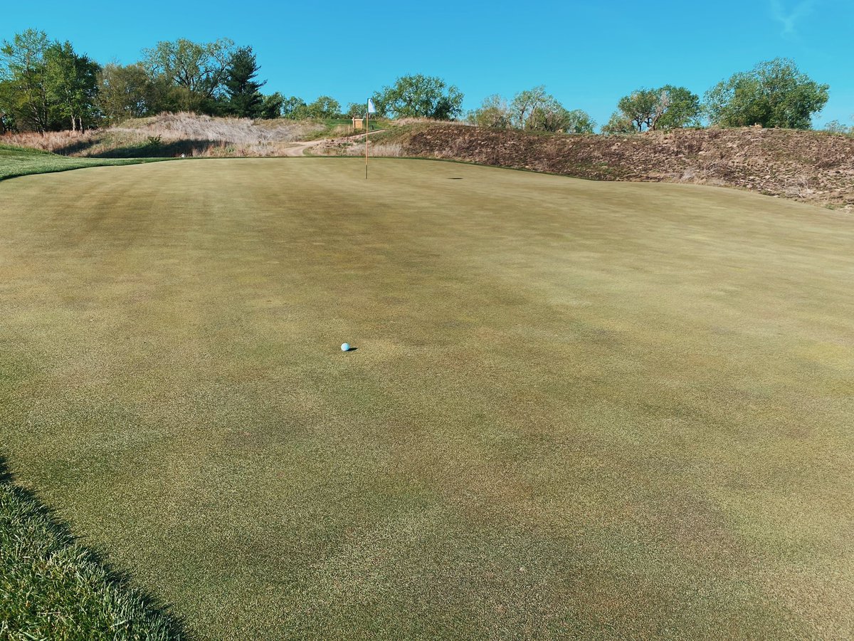 Red Dirt Golf Collective tweet media