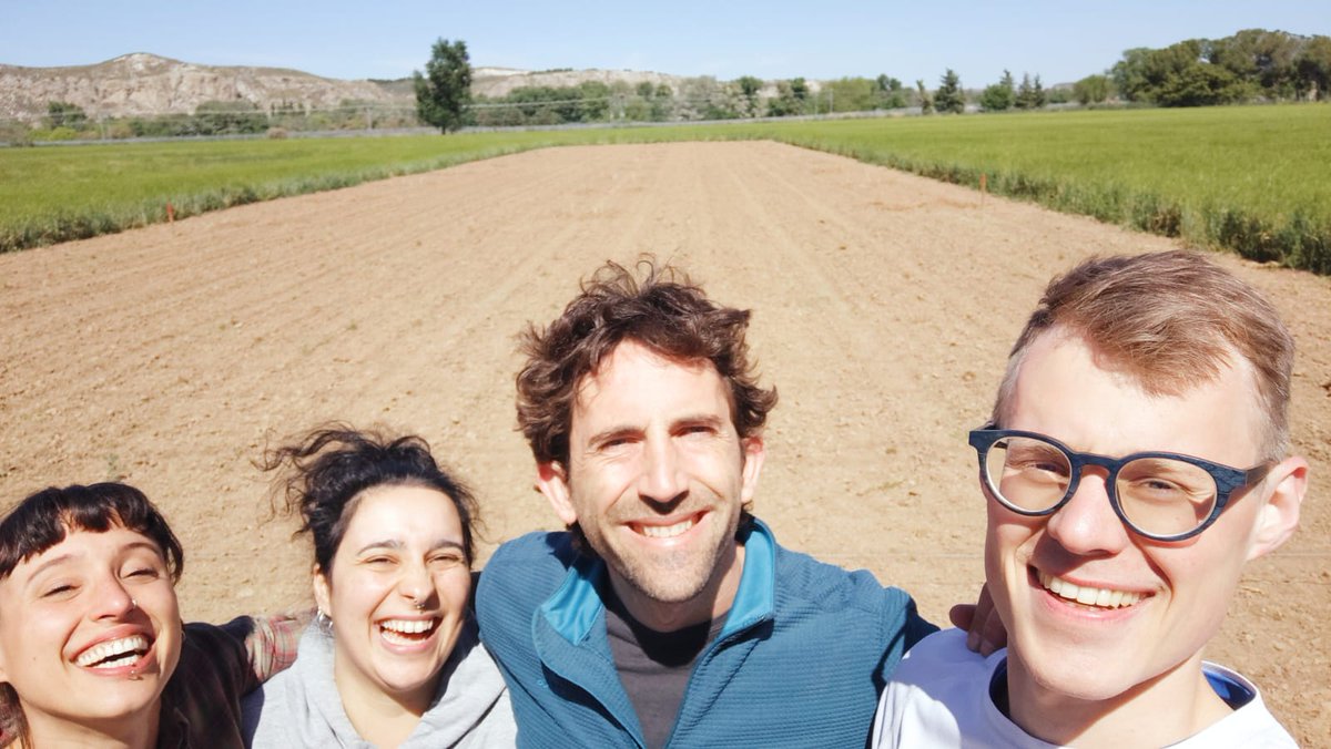 Great fieldwork inoculating AMF in a maize trial with @acc_ica_csic Carmen Lorenzo & Antonin Lambach, as part of our project with @vandeHeijdenLab @ValentBioSci