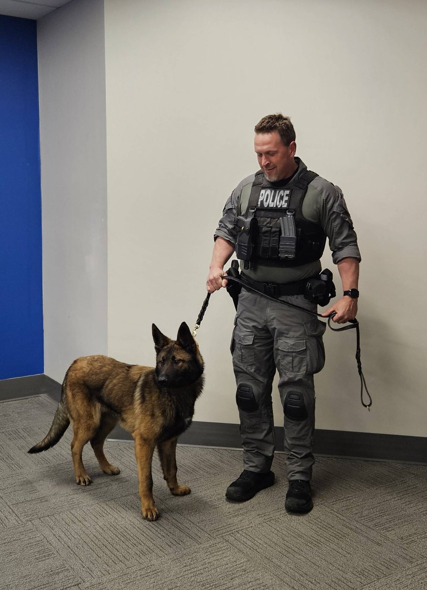 The Sarnia Police Service is thrilled to introduce our Police Service Dog "Vader" 

Welcome to the team!