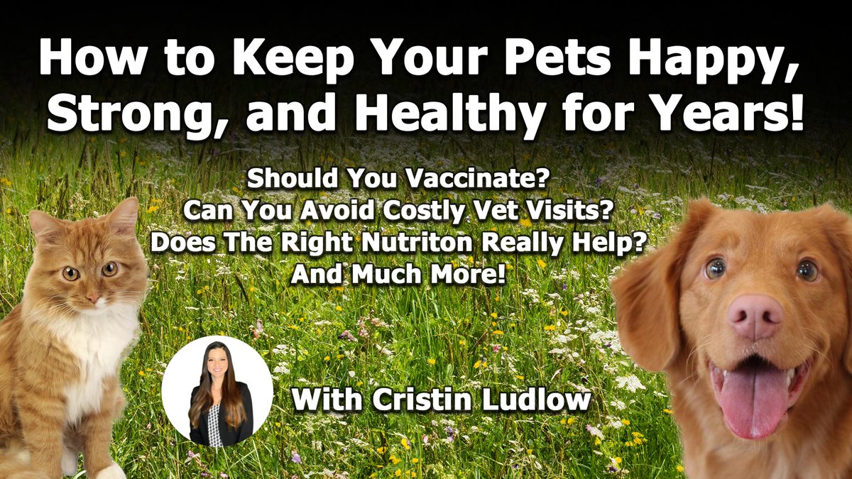 If you knew what they are putting in the food you're feeding your dog and/or cat... how can they get away with it? It should be illegal!
Watch the interview here renegademedia.tv/solutions-for-…

#petfood #dogvideo #catvideo