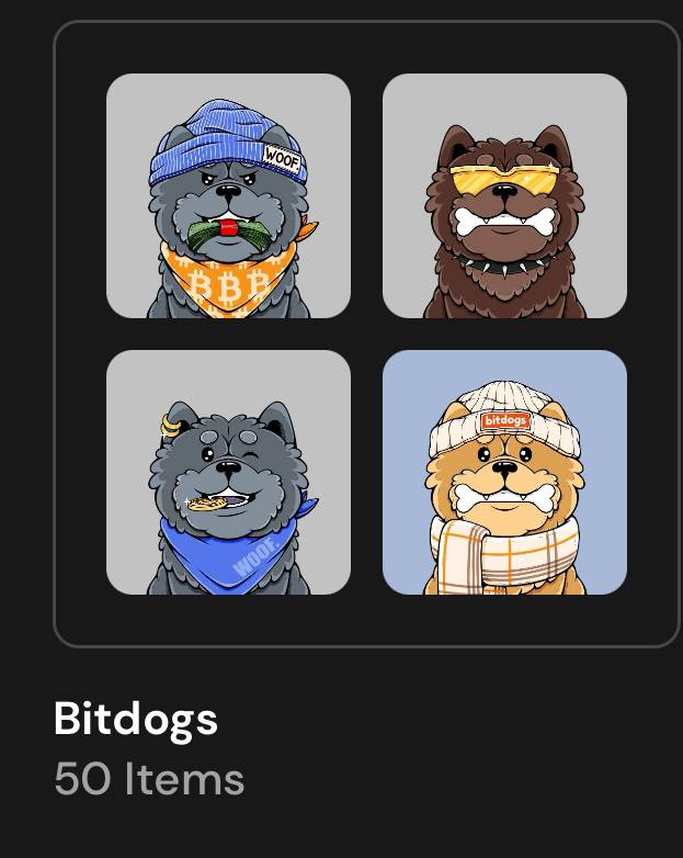 Every @solBOOGLE needs a pack of loyal Bitdogs by its side.

Arise, Sir @koyla_sol, Prince of Solana. You are officially inducted into the Counsel of Chow.

Come shape the direction of the pack together. A 50x holding is required for the invitation. 

BOOGLES ON TOP

CHOWCHOWMFR