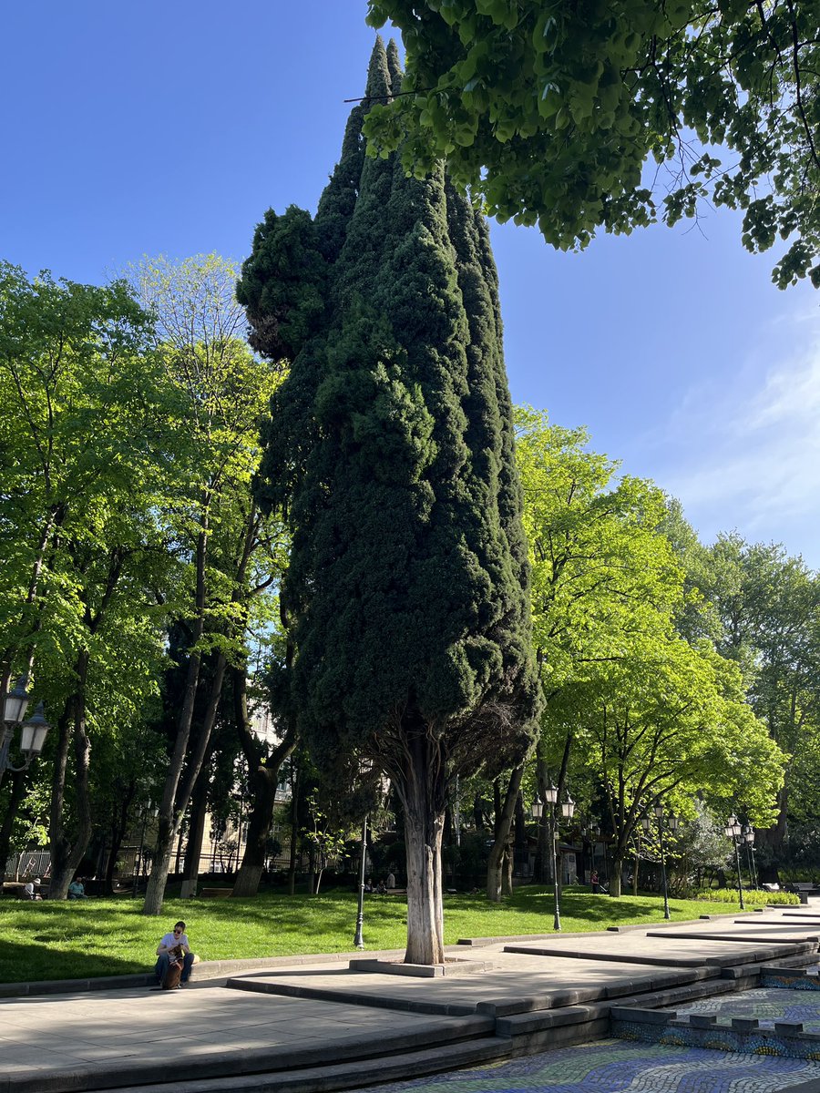 dervish_nod's tweet photo. Tbilisida bahor ☘️🌲🌳
🇬🇪🇬🇪🇬🇪
#georgiatravelmoments #emotionsaregeorgia #GeorgiaTravel
#GeorgiaTravelGeorgia
#emotionsaregeorgia
#gnta https://t.co/BRSyTAXCRm