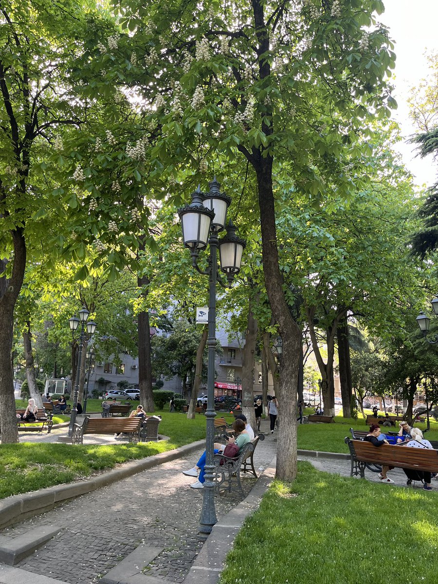 dervish_nod's tweet photo. Tbilisida bahor ☘️🌲🌳
🇬🇪🇬🇪🇬🇪
#georgiatravelmoments #emotionsaregeorgia #GeorgiaTravel
#GeorgiaTravelGeorgia
#emotionsaregeorgia
#gnta https://t.co/BRSyTAXCRm