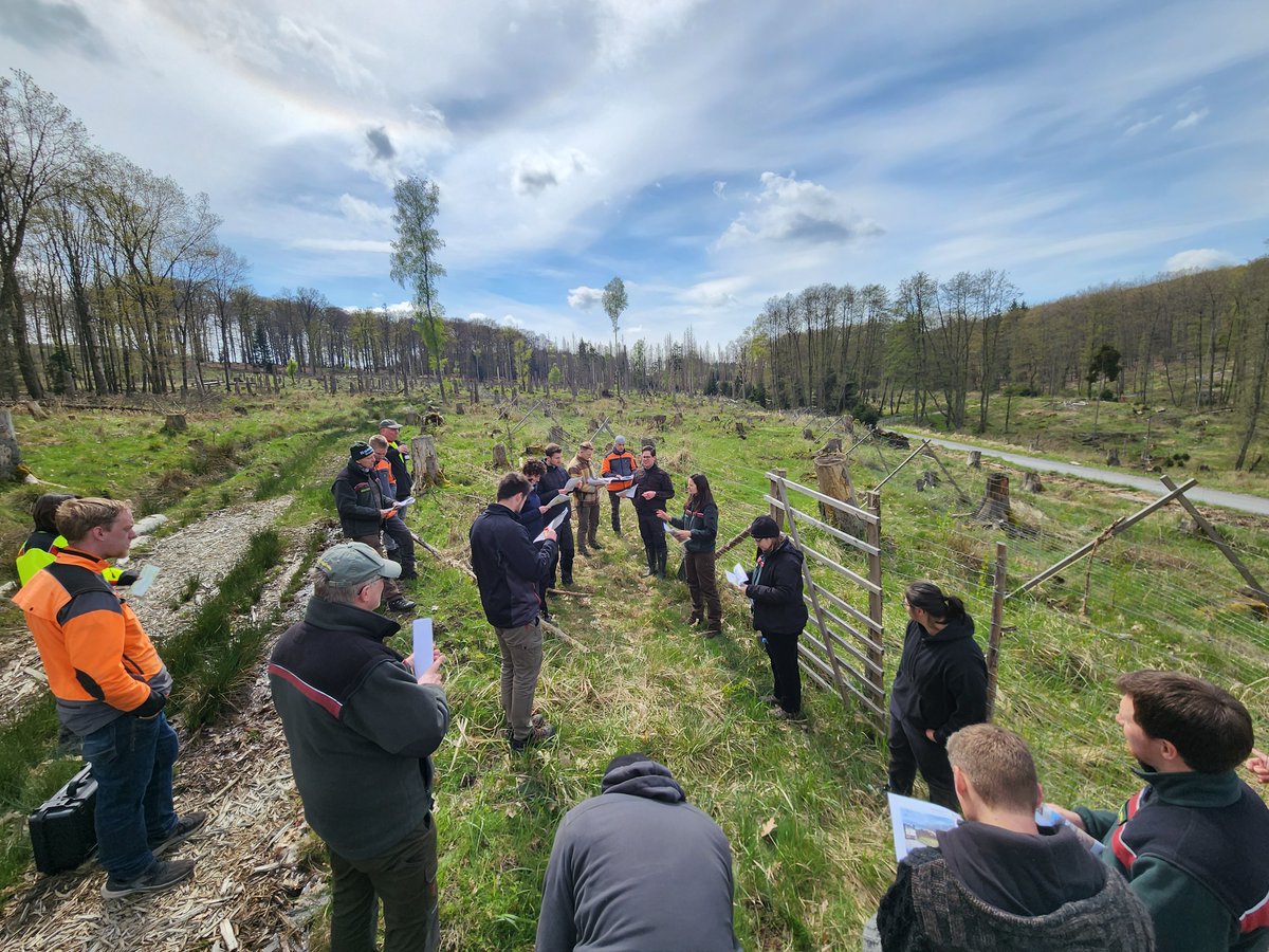 Remember our #coffee break in the forest? That is the result of it now! Yesterday the #Silviculture Team of @WaldundHolzNRW visited the #SUPERB sites in #Arnsberg Wald. We also had a special #biodiversity guest listening from behind the bark of a #spruce stump...