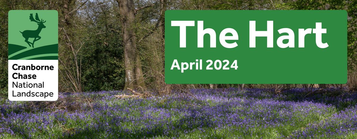 Our April newsletter is out now! 🌿🌿 If you want to receive our news straight to your inbox, follow the link on the newsletter below and subscribe at the bottom. #cranbornechasenationallandscape #protectedlandscapes ow.ly/ZfLs50Rm8jw