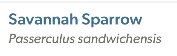 Finding out Savannah Sparrows should really be called Sandwich Sparrows