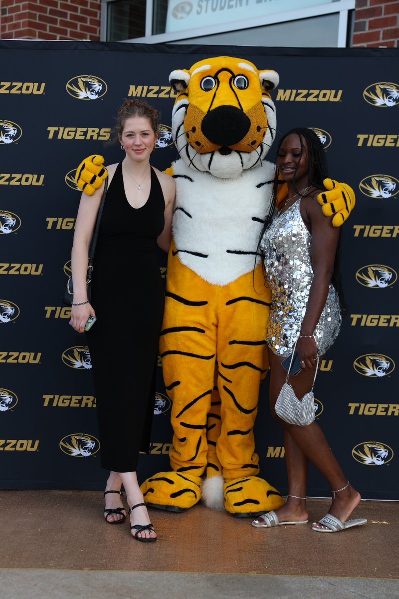 MizzouWBB's tweet photo. Gold and glam ✨ https://t.co/yV6uDfxEvO