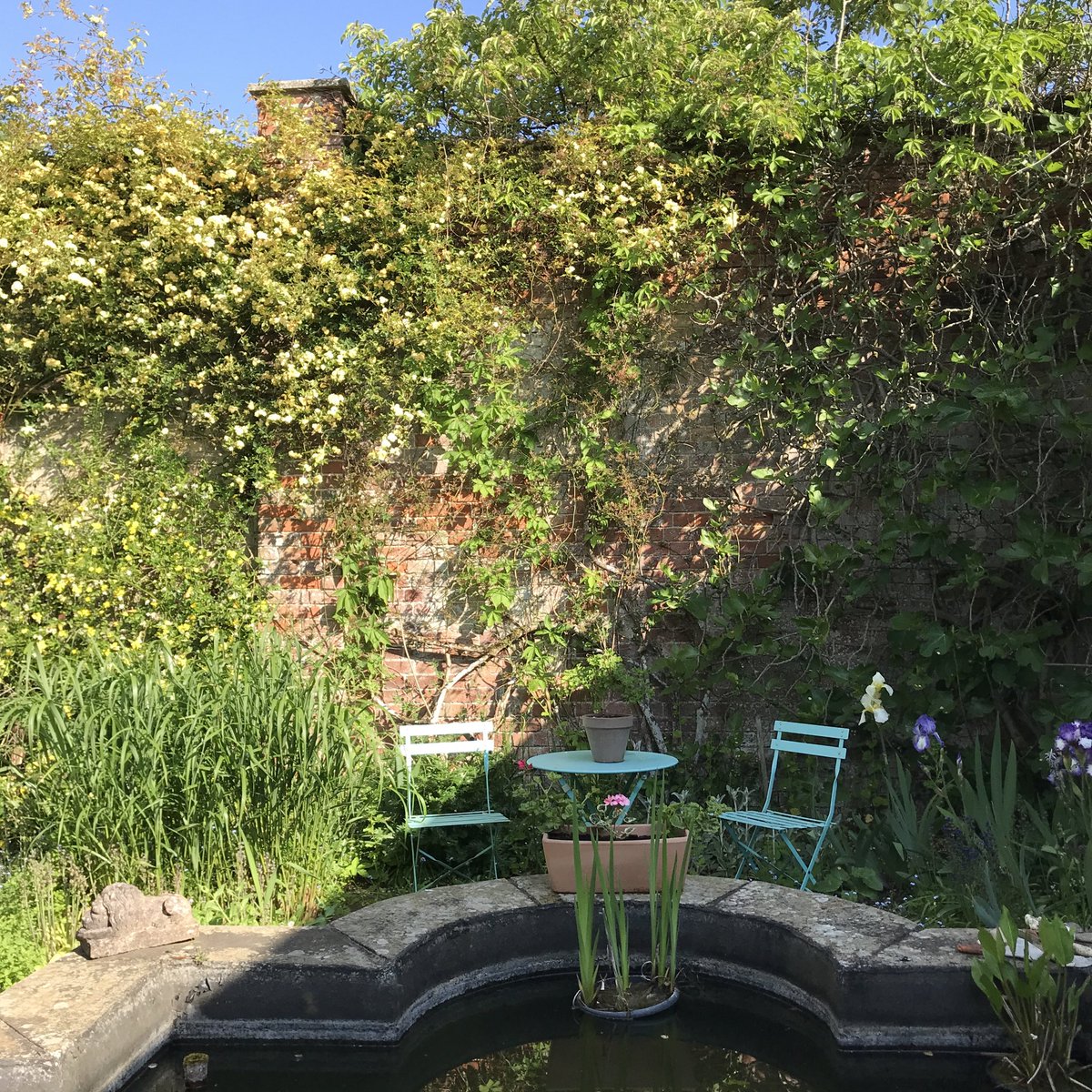 Happy #EarthDay2024 everyone 🌏 After the @The_RHS Urban Show at @depotmayfield last weekend, it really does feel like blossom season now🌺 Here we see Olivia Laing’s sublime garden, tended for with her love of nature🍃 Come see her talk about it 10 May! manchesterliteraturefestival.co.uk/events/olivia-…