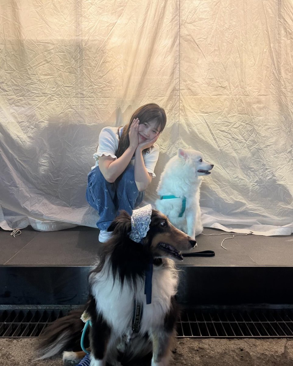 240423 인스타그램 #효정

ㄱㅇㅇ