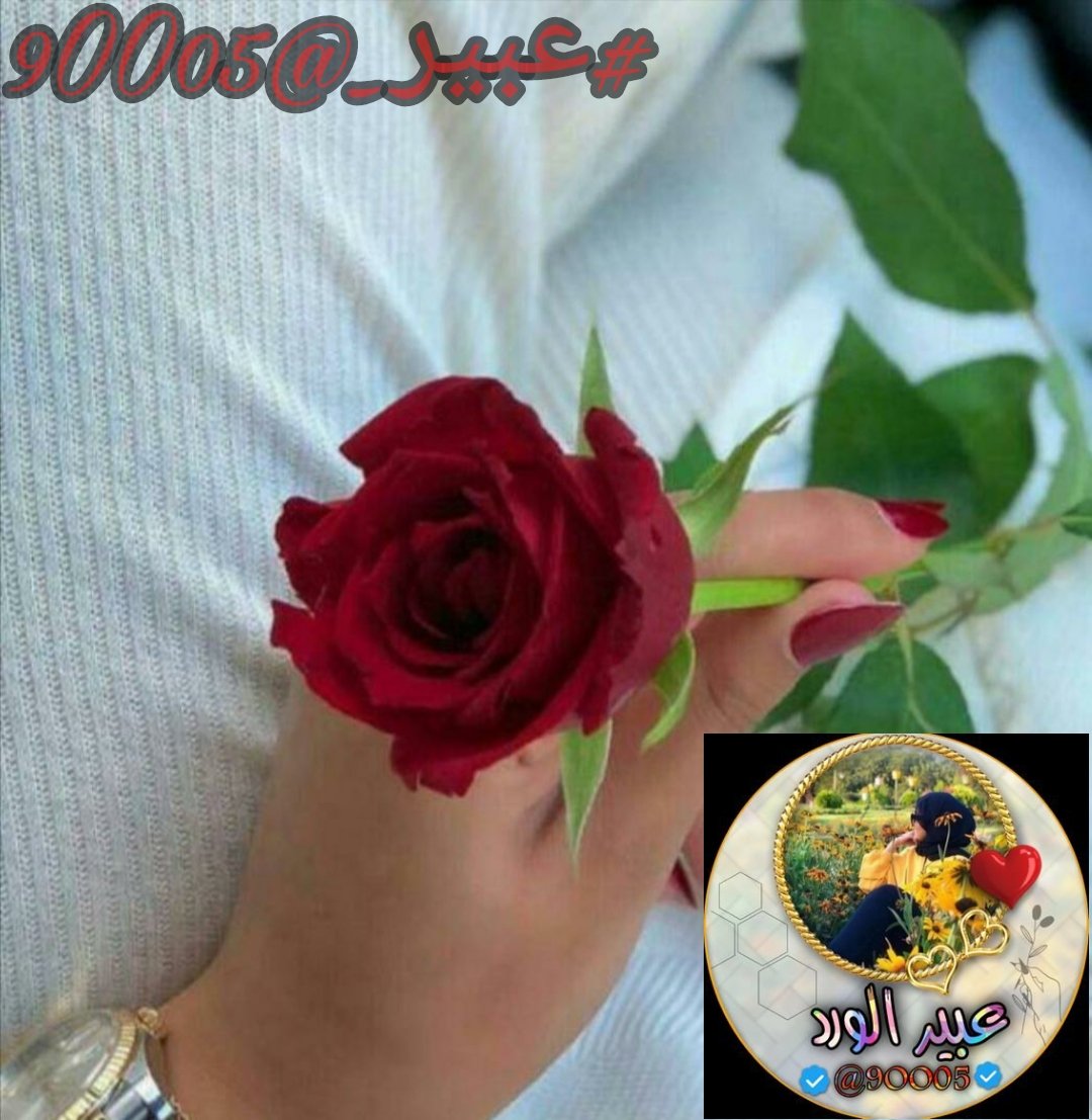 💙❤️‍🔥💙❤️‍🔥
❤️‍🔥<a href="/9OO05/">عـ༈ۖ҉ـبـ༈ۖ҉ـيـ༈ۖ҉ـر آلَؤُرد</a>
💙❤️‍🔥💙❤️‍🔥
❤️‍🔥<a href="/9rrgr/">لهــيب المــشـا؏ر الـضالــع ❤️‍🔥</a>
❤️‍🔥<a href="/8rrgr/">جنونــ المــشـا؏ر❤️‍🔥</a>
❤️‍🔥<a href="/Nojlll/">💙 نون</a>
❤️‍🔥<a href="/sa1uq/">࿐✫ 𝓢𝓐𝓡𝓐𝓗 ✫ ࿐</a>
❤️‍🔥@PDDDi 
❤️‍🔥<a href="/S00c__/">🎁 𝕏غົີຼູــ໊ຼຸ໊ຼ້ــືັູຸີ໌ـا້ີົືຼູຸلـົຼ໌ـ້يຼے 🎁</a>
❤️‍🔥<a href="/w248ll/">hamdy</a>
❤️‍🔥<a href="/N__Bal/">Nasir Baloch</a>
❤️‍🔥<a href="/zabmny/">زينة السبيعي ❤️🩵🤍</a>
❤️‍🔥<a href="/ll4474/">CRYPTO INSIDER 👑</a>
❤️‍🔥<a href="/SAlfkee/">قيادة / الكـــــ 🌎 ـــــورة الأرضيّة /🔥🔥🔥🔥🔥</a>
❤️‍🔥<a href="/al37373/">غيمة حلا</a>
❤️‍🔥<a href="/zmrd888/">أبو عمر</a>
❤️‍🔥@tomoh81
❤️‍🔥<a href="/FBI_1777/">𝒎𝒖𝒉𝒂𝒎𝒎𝒂𝒅 𝒉𝒂𝒓𝒐𝒐𝒏🇲🇾</a>
❤️‍🔥<a href="/Sairakh_1/">Sairah</a>
❤️‍🔥<a href="/N_D_E_R7/">نذير هزاع العمري</a>
❤️‍🔥<a href="/Almalke118/">ابوعادل المالكي🇸🇦</a>
❤️‍🔥@AllahMercy0
❤️‍🔥@t3rim4k4sih____
❤️‍🔥@0mnr0mnr00
❤️‍🔥@0mnr000mnr