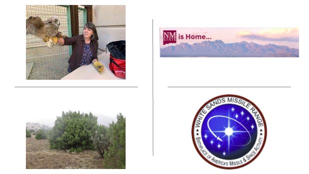 #NMSUResearch - Dr. Martha J. Desmond, professor @nmsu_fwce, is funded by @WSMissileRange to monitoring pinon-juniper bird species on White Sands Missile Range. @NMSUResesarch @CoresNmsu