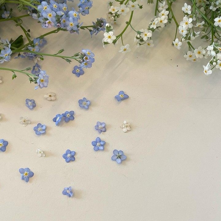 Forget-me-nots.