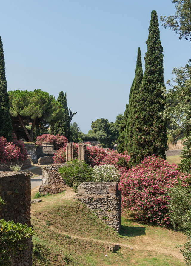 TRAJ_Journal's tweet photo. A belated #EarthDay2024 paper from #TRAJ Vol. 1,
🌱'There Buds the Laurel’: Nature, Temporality, & the Making of Place in the Cemeteries of Roman Italy' by @e_jgraham
FREE https://t.co/B2LyDnaX1h https://t.co/W85NY7RbRF