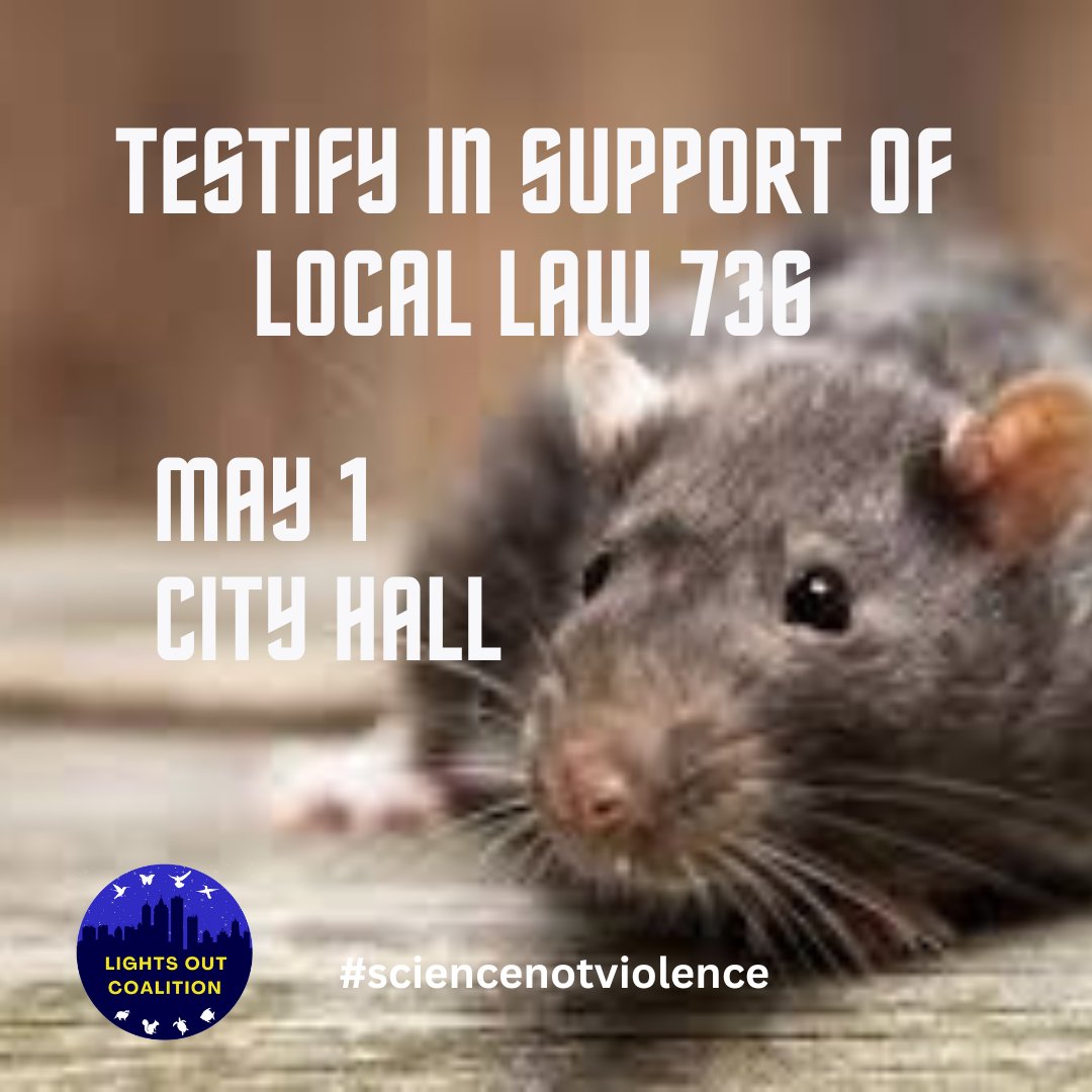 Attention #animal, #environmental, #sanitation, #compost #activists: Come voice your support of Intro 736 on.nyc.gov/3VUk3nb #ratcontraception bill Wednesday, May 1, at City Hall. DM us for details. Hope to see you there as we make history. #ScienceNotViolence!