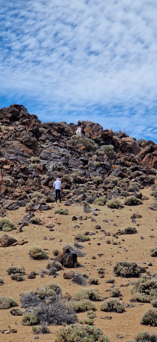 On Tenerife with a fantastic group of students and dedicated teaching team. Learning at its best! <a href="/oxfordgeography/">SoGE, University of Oxford</a> <a href="/OxRBL/">OxRBL</a>