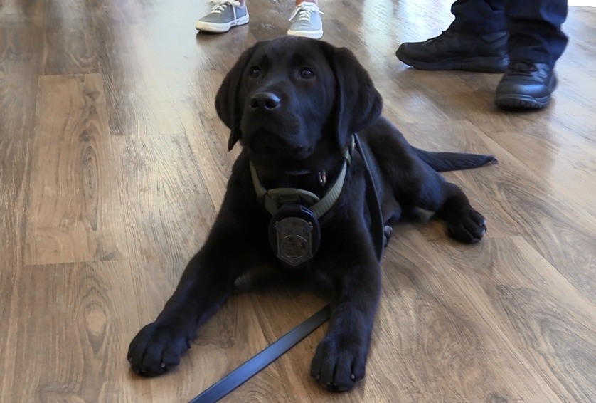 Scituate Police Dept tweet media