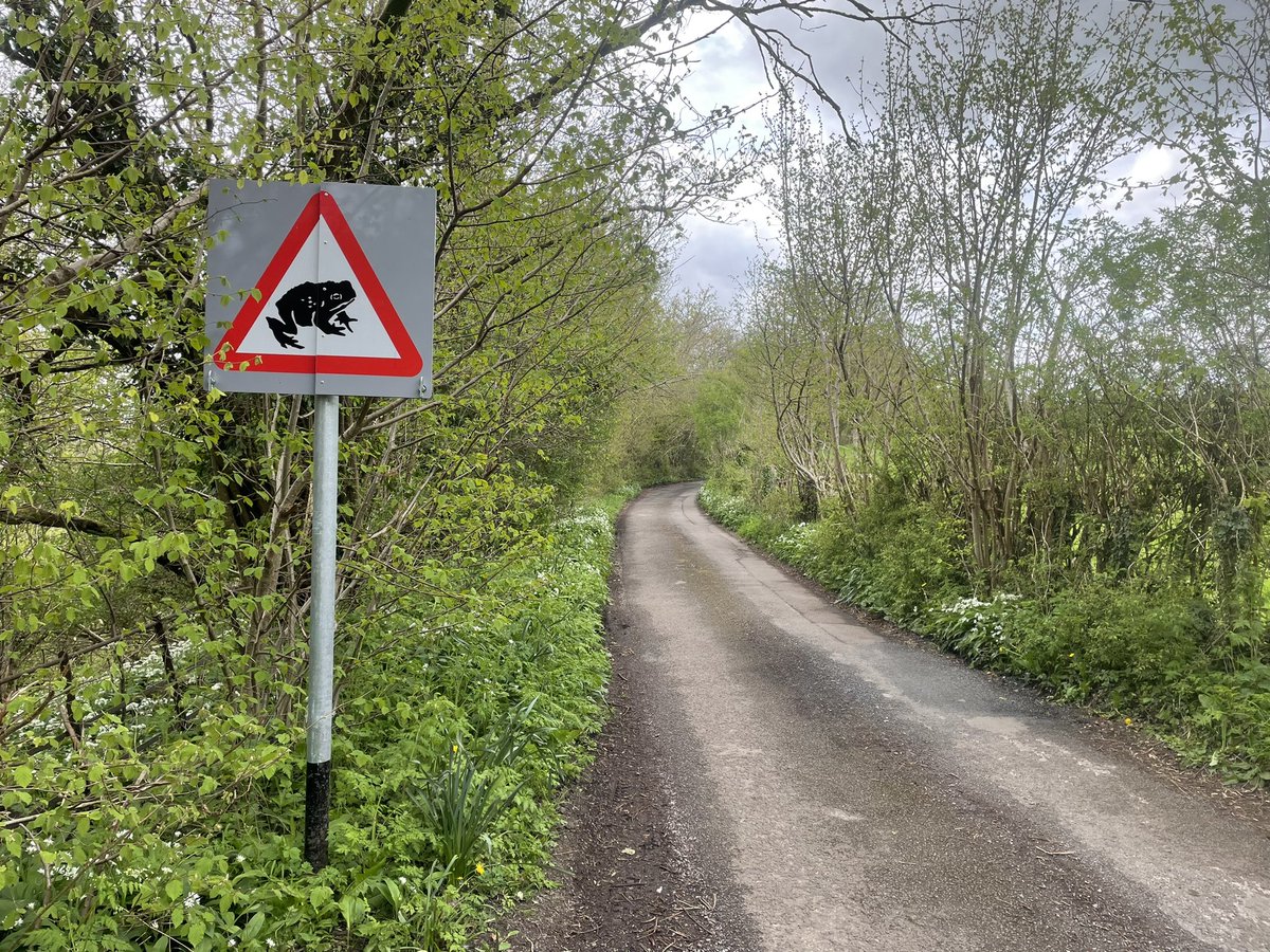 Bath & North East Somerset Where we can protect toads But we don’t protect children We need #schoolstreets now