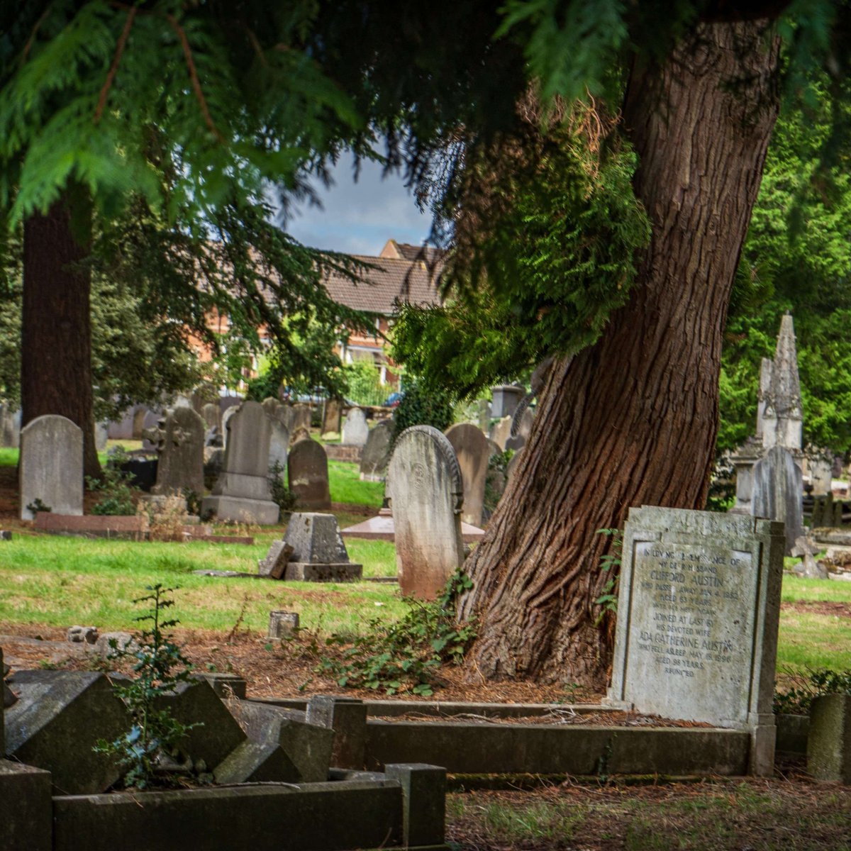 Join us in London Road Cemetery for the Dead Good Death Festival, 3-5 May, a space to explore topics relating to life and death in the beautiful surroundings of Paxton's Arboretum. Details and booking on our website historiccoventrytrust.org.uk/whats-on/