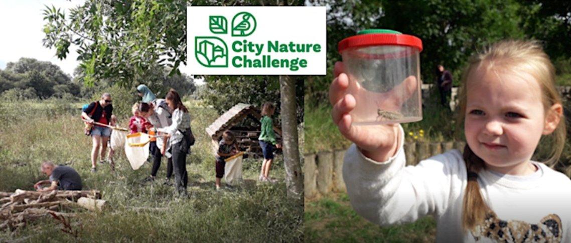 Have you got the #CityNatureChallenge in your diary this weekend? Join us on Saturday with @Thames_Chase & @Thames21 at Eastbrookend Country Park to see how much wildlife we can find & record for this global challenge. More info: eventbrite.co.uk/e/city-nature-… 🍄 #CNC #CNC2024 #CNCUK