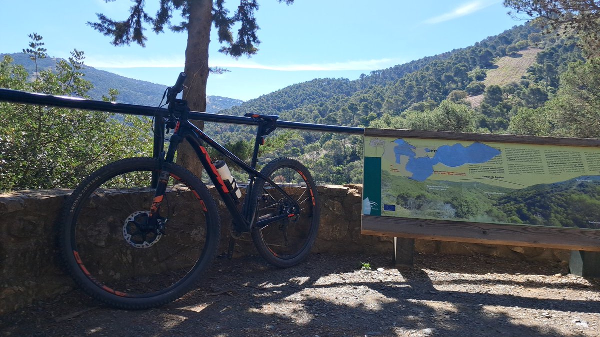 dreamteambike's tweet photo. Al Pinar en solitario.  Día de pedaleo perfecto,  sin nadie, solo yo y mi bici...un lujo.
📍Montes de Málaga. https://t.co/2BCctP4Z4R
