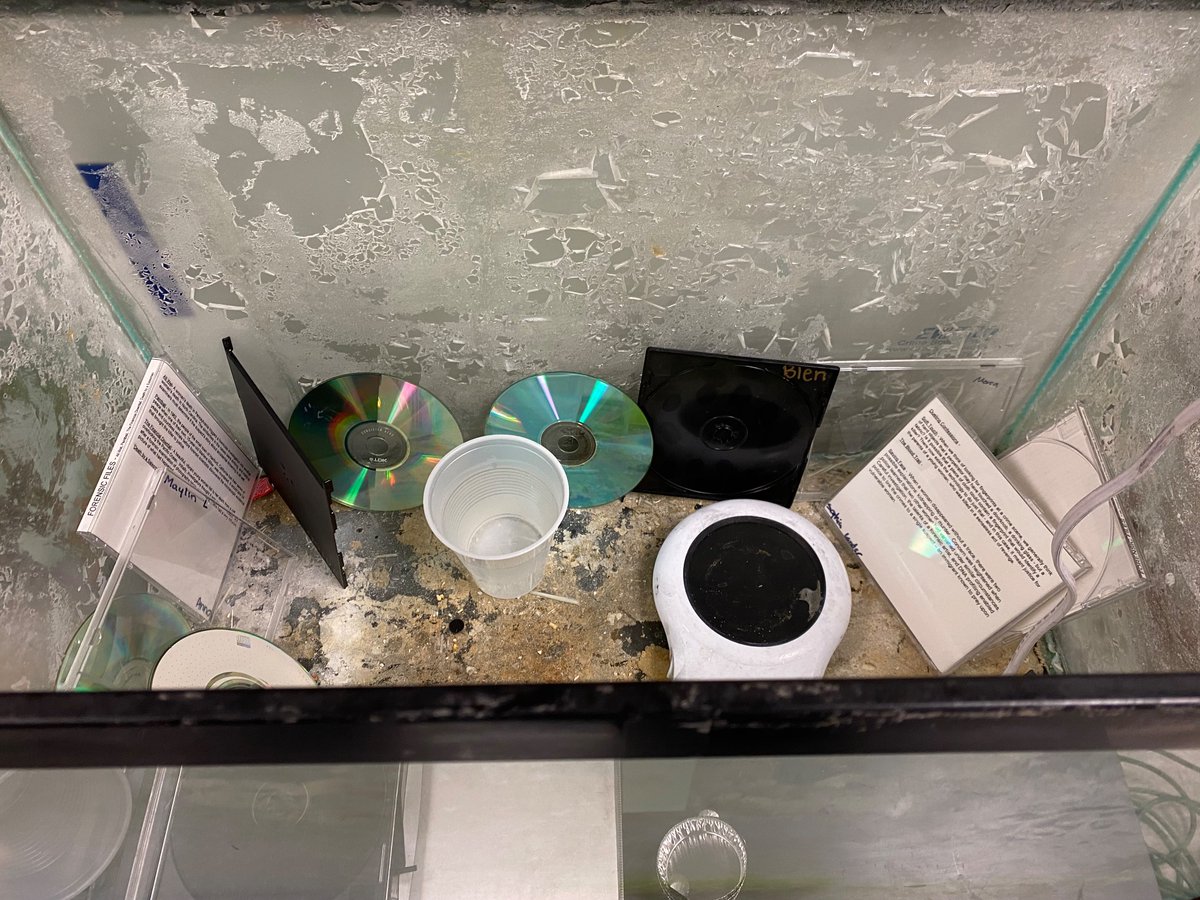 Arlington Career Center (@apscareercenter) on Twitter photo We’re always excited to see the cool things taking place in Forensics! <a href="/Forensicsteach/">Anne Cupero</a> and her 1st period students begin a DNA fingerprinting lab using real fingerprint cards and super glue fuming. <a href="/Margaretchungcc/">Margaret Chung</a> <a href="/APS_CTE/">Arlington CTE</a> <a href="/APSVirginia/">Arlington Public Schools</a> <a href="/APSVaSchoolBd/">APS School Board</a> We’re always excited to see the cool things taking place in Forensics! <a href="/Forensicsteach/">Anne Cupero</a> and her 1st period students begin a DNA fingerprinting lab using real fingerprint cards and super glue fuming. <a href="/Margaretchungcc/">Margaret Chung</a> <a href="/APS_CTE/">Arlington CTE</a> <a href="/APSVirginia/">Arlington Public Schools</a> <a href="/APSVaSchoolBd/">APS School Board</a>