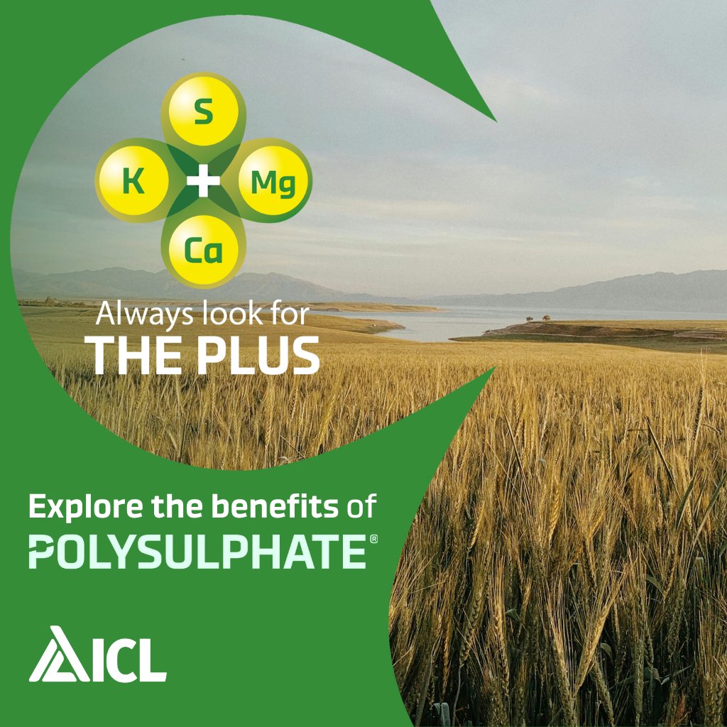 Exciting News for Irish Farmers! 🌾

More and more Irish farmers are using Polysulphate as their fertiliser, and it's closer to home than you might think! 

Read more: bit.ly/3SQxhy1

💚 #FarmingInnovation #Polysulphate #SustainableAgriculture #Agriculture