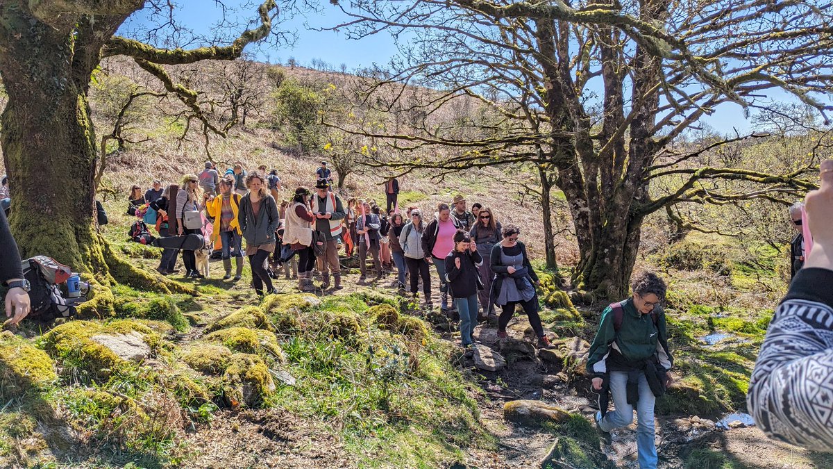 Took part in a lovely event at the weekend; a perambulation of the Dartmoor Forest, but with very different intentions than those who first walked it 1200 years ago! It was a wonderful celebration of conservation, love of nature, and intention to protect it for future generations