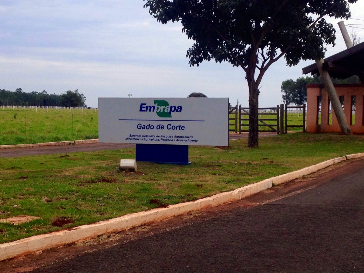 puravidafoodssv's tweet photo. Take advantage of the date and congratulate the research institution that made Brazil the barn of the world, @embrapa that today completes #51yrs.
After graduating, in agrarian sciences i spent a few months specializing in beef cattle, this in the year 2005...
#MySource https://t.co/Yr5NW3kKy5