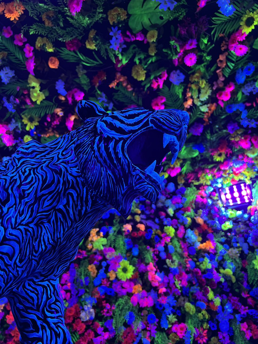 MUSICMuseum4's tweet photo. #GOMA
#GOMALABO
#GOMA展2 https://t.co/h2Cyl5S466