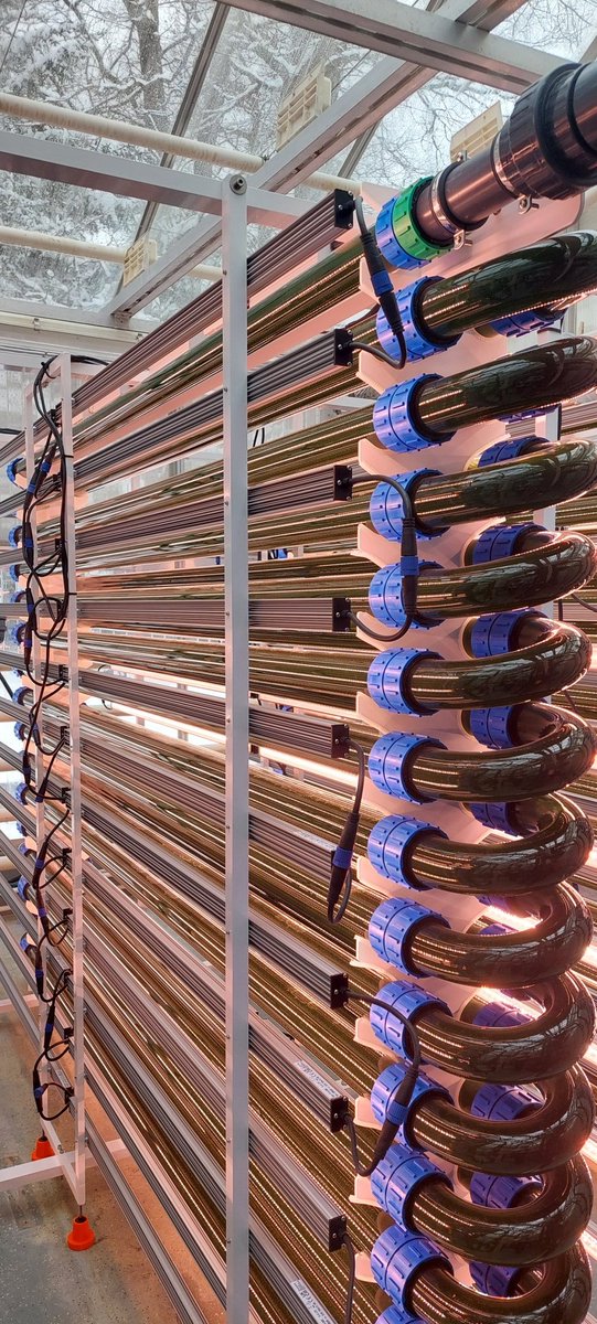 Today, we had an opening event for our AlgaTech facilities in Ruissalo Botanical Garden. Opening words by @YagutRinne and projects introduction by <a href="/semasirin/">semasirin</a>. Thanks for the great organisation and good time spent networking with collaborators and colleagues. #algae <a href="/REALMalgae/">REALM algae</a>