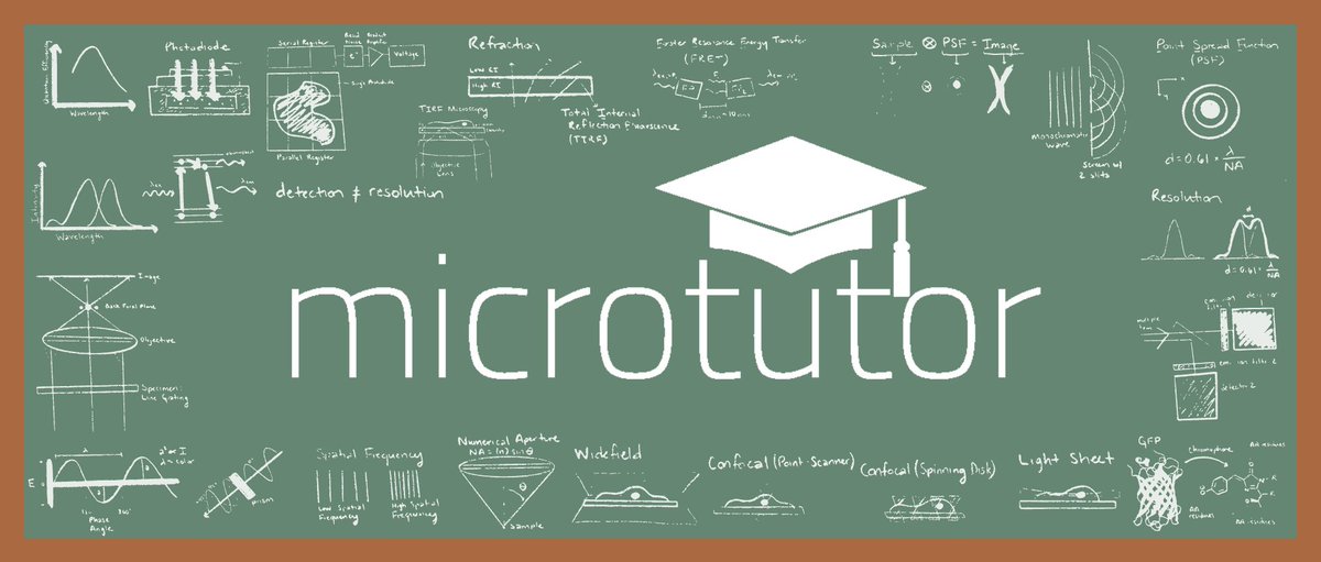 Jennifer Waters (@jencwaters) on Twitter photo I'm excited to share our new project at the <a href="/focalplane_jcs/">FocalPlane</a> webinar on Thurs! Microtutor is an interactive remote imaging education platform, integrated into the <a href="/GlobalBioImage/">Global BioImaging</a> training portal. <a href="/annaphoton/">Anna P Jost</a>, <a href="/sci_doodles/">Eva de la Serna</a> & I are leading a team of collaborators including...(1/n) I'm excited to share our new project at the <a href="/focalplane_jcs/">FocalPlane</a> webinar on Thurs! Microtutor is an interactive remote imaging education platform, integrated into the <a href="/GlobalBioImage/">Global BioImaging</a> training portal. <a href="/annaphoton/">Anna P Jost</a>, <a href="/sci_doodles/">Eva de la Serna</a> & I are leading a team of collaborators including...(1/n)