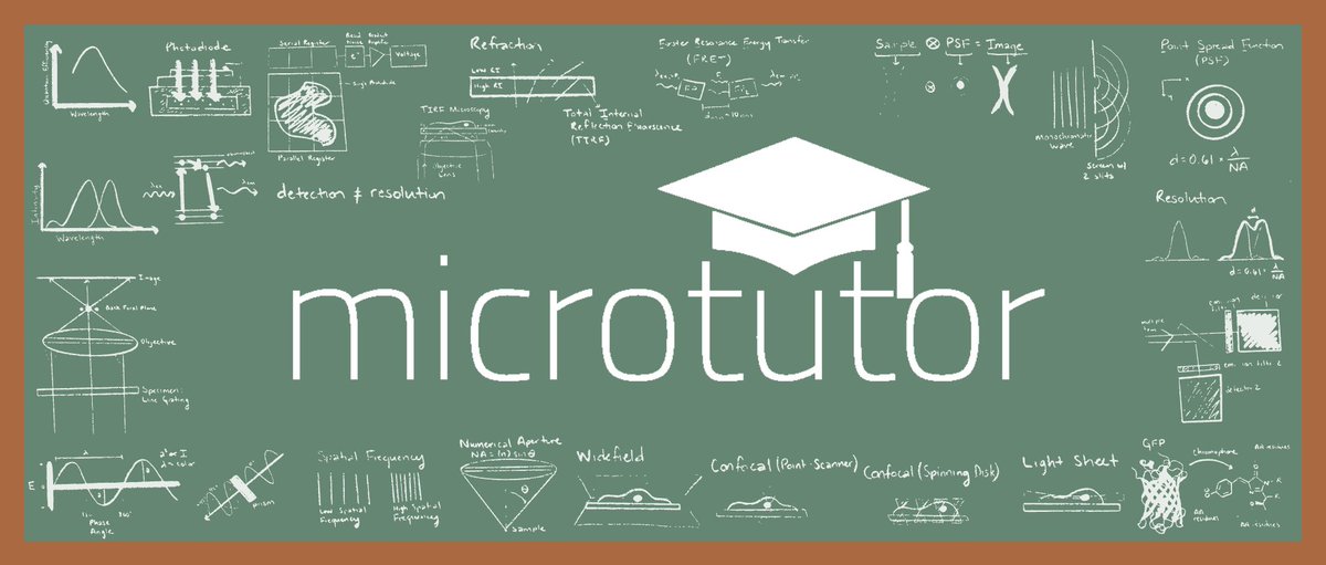 I'm excited to share our new project at the @focalplane_jcs webinar on Thurs! Microtutor is an interactive remote imaging education platform, integrated into the @GlobalBioImage training portal. @annaphoton, @sci_doodles & I are leading a team of collaborators including...(1/n)