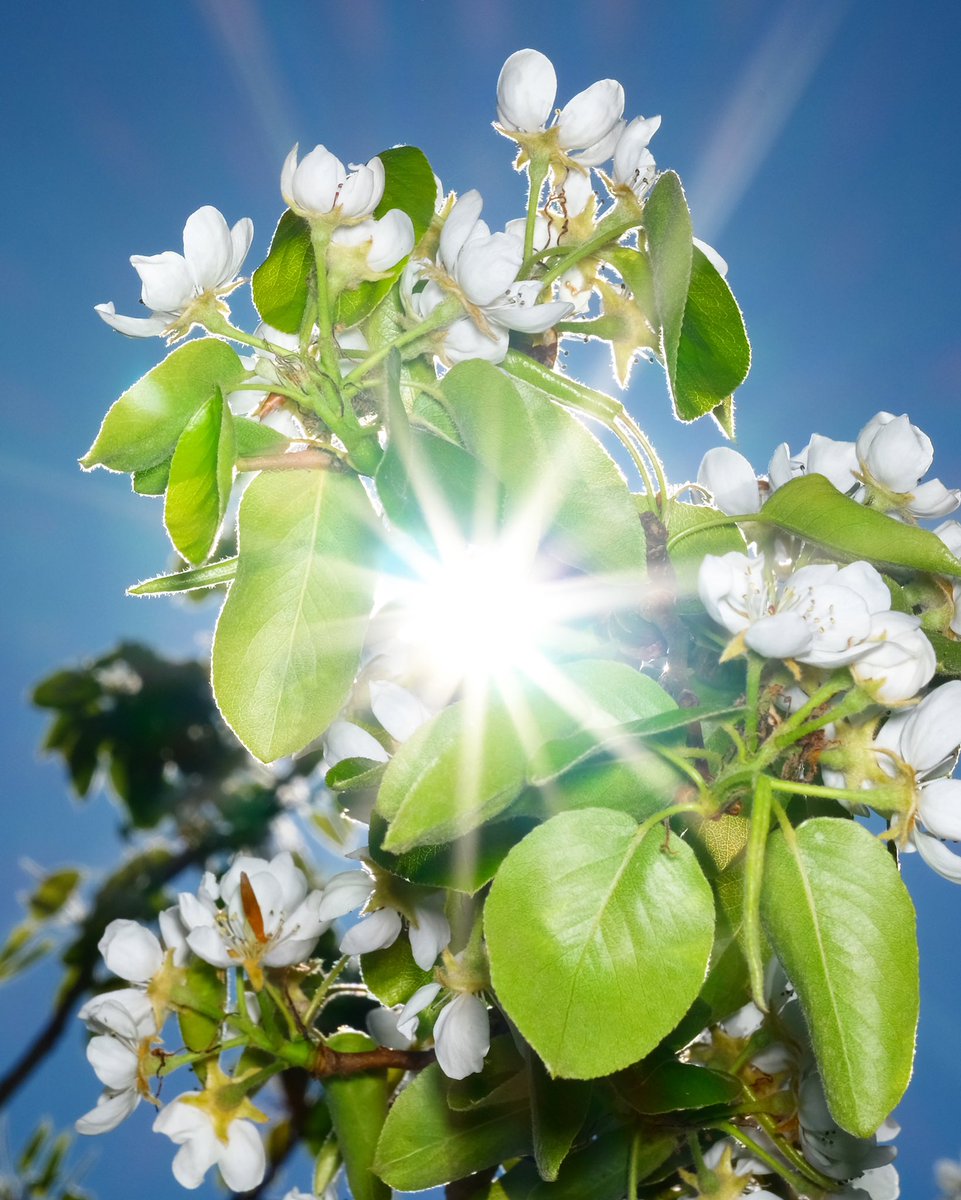 bobby beasley tweet media