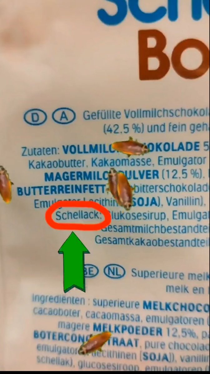 Bluht_Sunflower's tweet photo. The Kinder brand, owner of Schokobons, recently stated that the special insect as an ingredient in this popular product for children..
#Schellack #Kinder #Schokobons #Pests #insects https://t.co/DRsWXV4LZo