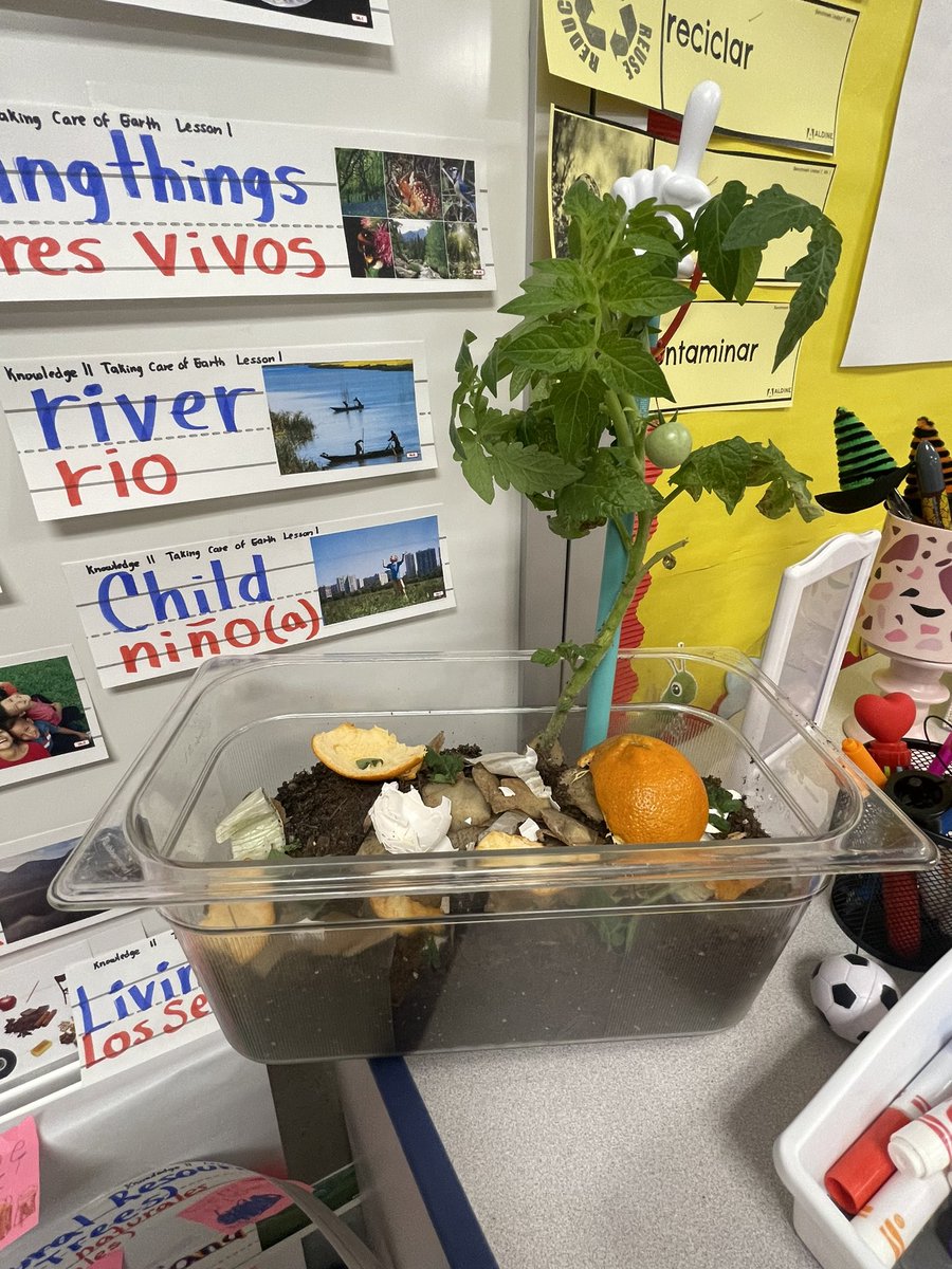 Karina Zuniga tweet media