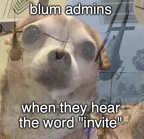 blumcrypto's tweet photo. thanks to all the scammers and haters, but not from the bottom of my heart 🥸 https://t.co/SB6Ofpawdv
