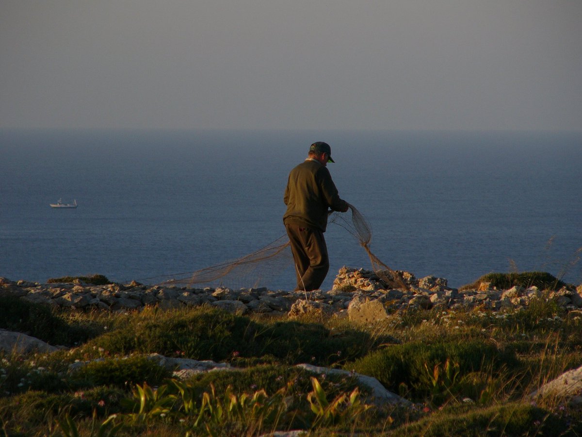 ⚠️ 1/3 3 poachers caught this week on #Malta police caught a finch trapper at Fawwara on the west coast with a huge trapping net; an electronic decoy, three live decoys and the net were seized.