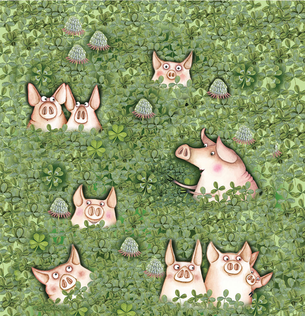 Such a delightful playfulness to this lovely group of pigs. We can always rely on Clare Mackie for a bit of wonder and joy! Find more of Clare’s work on our website: bit.ly/claremackie #artistpartners #claremackie #illustrator #illustration #design #designer