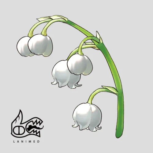 0425-鈴蘭花 #素材 #米得每日素材 